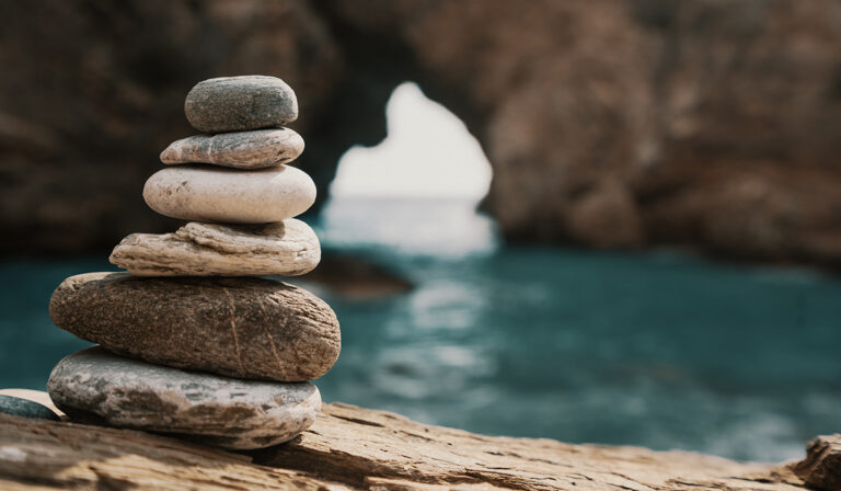 Lire la suite à propos de l’article Cursus ante dapibus