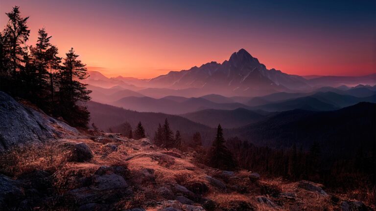 Lire la suite à propos de l’article Maecenas mattis sed