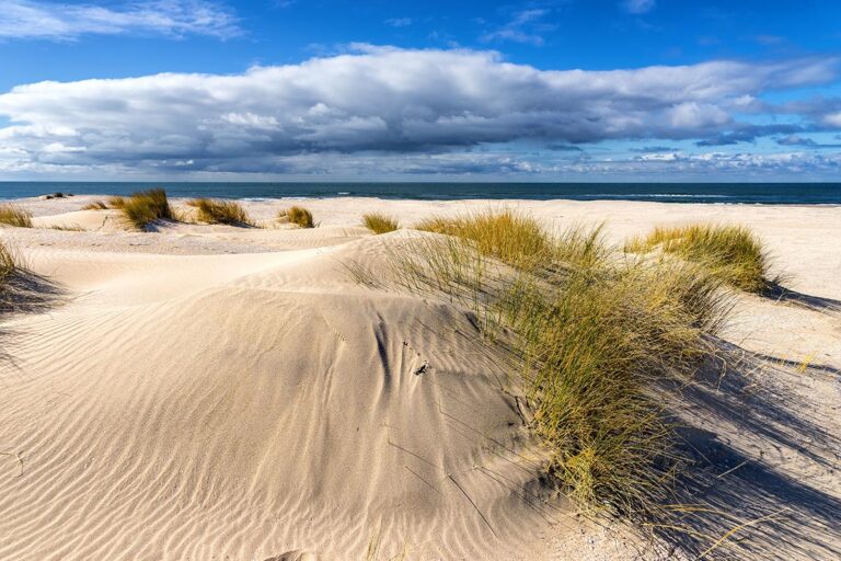 Lire la suite à propos de l’article Ipsum dolor sit amet