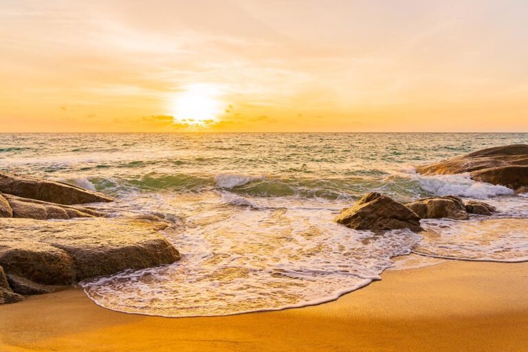 Lire la suite à propos de l’article Duis sagittis ipsum