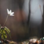 OceanWP Theme The Perfect Companion for Stunning Ocean Photography Website