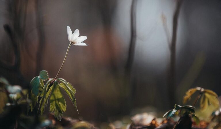 Lire la suite à propos de l’article OceanWP Theme The Perfect Companion for Stunning Ocean Photography Website