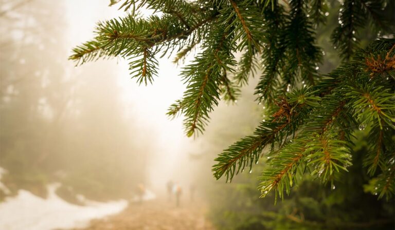 Lire la suite à propos de l’article OceanWP Theme Elevating Your Ocean Photography to the Next Level